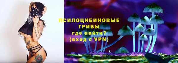 молекула духа Беломорск