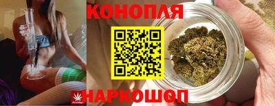 гидра Сосновый Бор