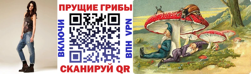 Галлюциногенные грибы GOLDEN TEACHER  Верхняя Пышма 