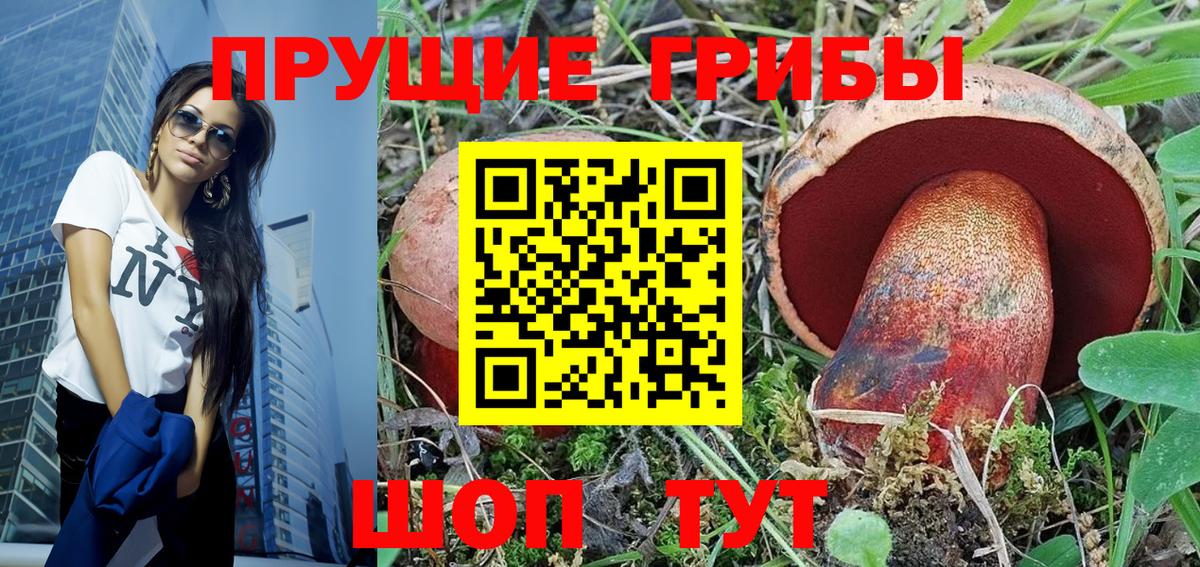 Галлюциногенные грибы мицелий  купить наркотики цена  Верхняя Пышма  Вход с VPN 