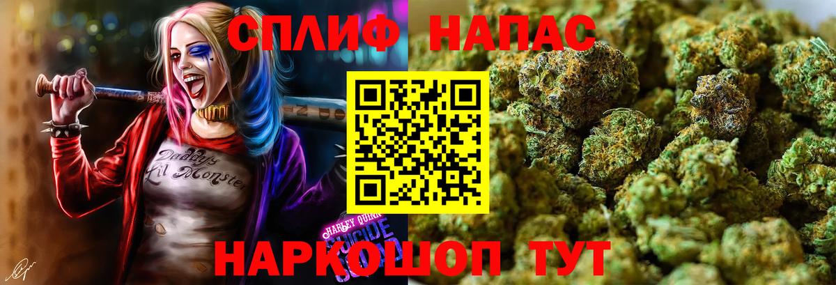 Каннабис Amnesia Верхняя Пышма